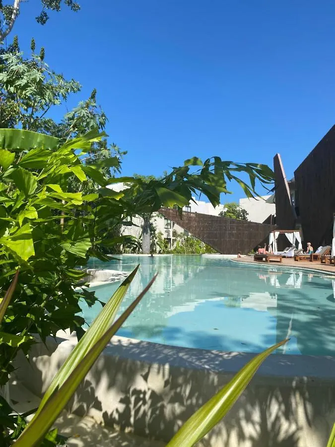 Luxurious Jungle Studio Tulum Pueblo 0*,