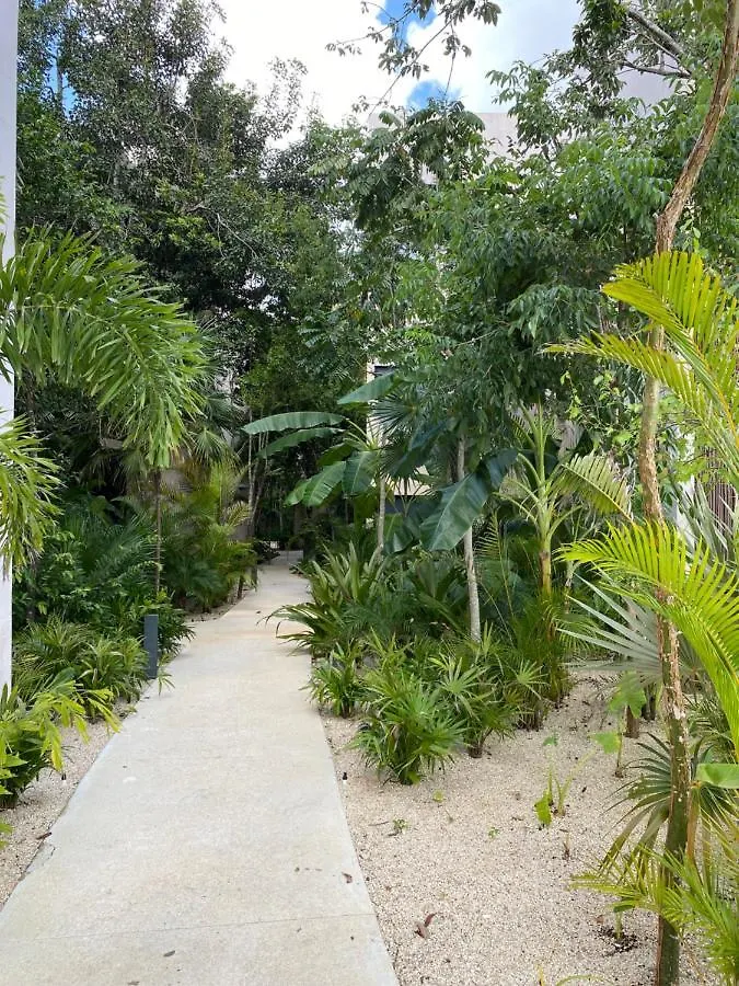 Luxurious Jungle Studio Tulum Pueblo Mexico