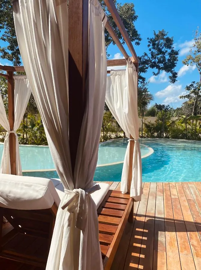 Daire Luxurious Jungle Studio Tulum