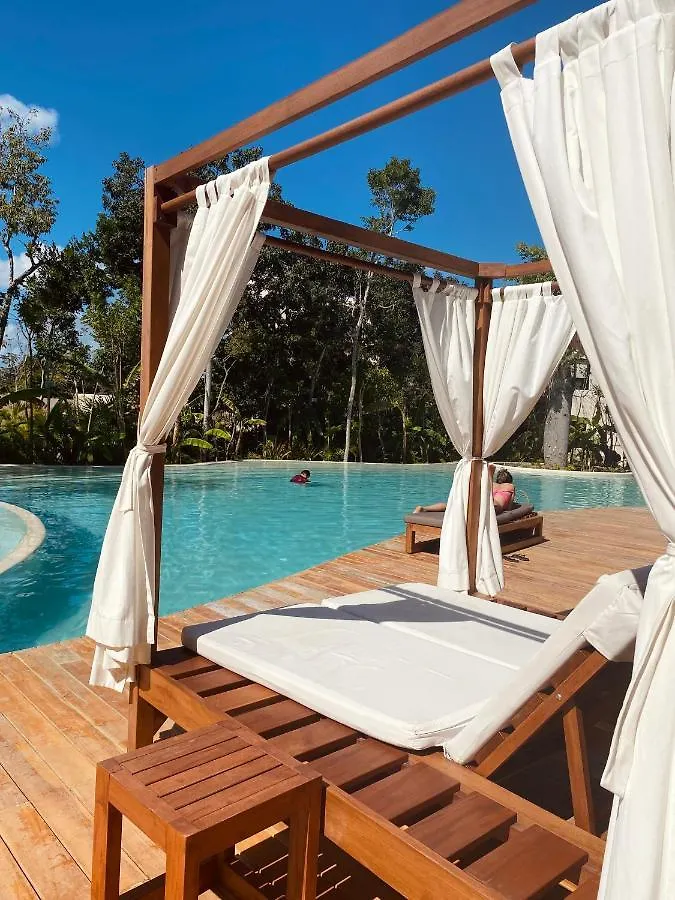 Daire Luxurious Jungle Studio Tulum