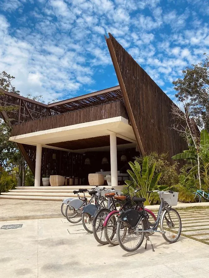 Luxurious Jungle Studio Tulum Daire