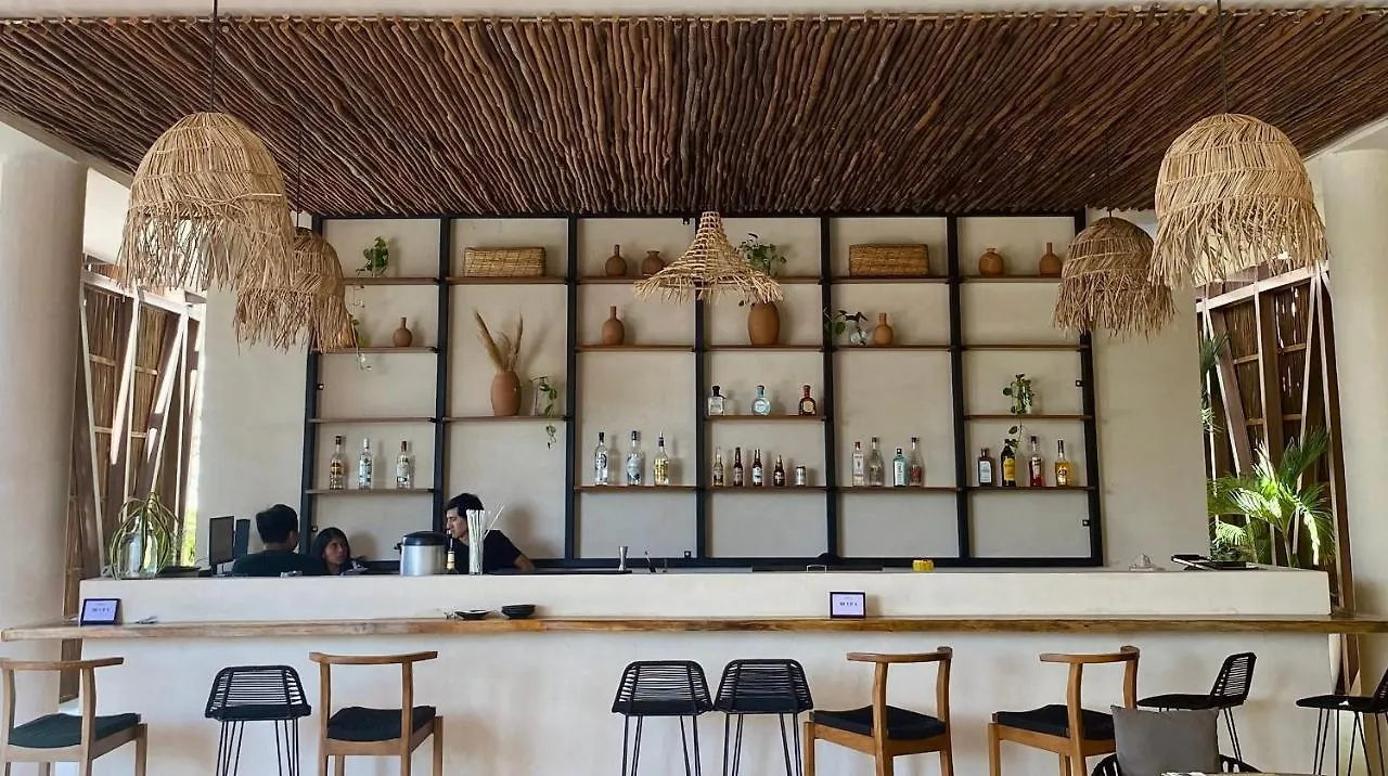 Luxurious Jungle Studio Tulum Daire
